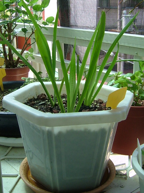 «ö¦¹¦b·sµøµ¡ÂsÄý¹Ï¤ù