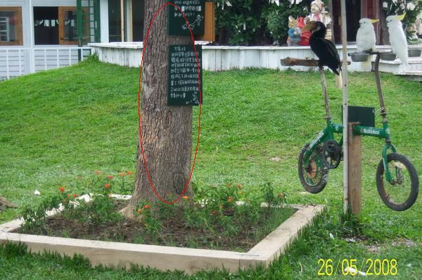 按此在新視窗瀏覽圖片