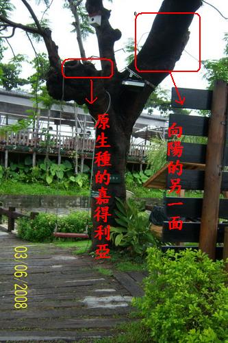 按此在新視窗瀏覽圖片