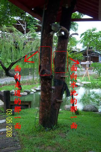 按此在新視窗瀏覽圖片