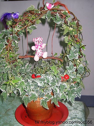 «ö¦¹¦b·sµøµ¡ÂsÄý¹Ï¤ù