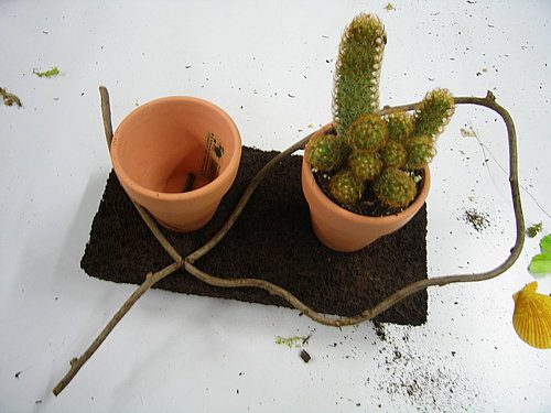 «ö¦¹¦b·sµøµ¡ÂsÄý¹Ï¤ù