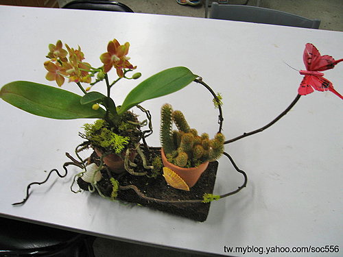 «ö¦¹¦b·sµøµ¡ÂsÄý¹Ï¤ù