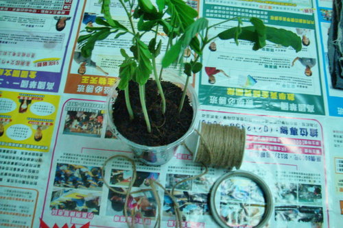 «ö¦¹¦b·sµøµ¡ÂsÄý¹Ï¤ù