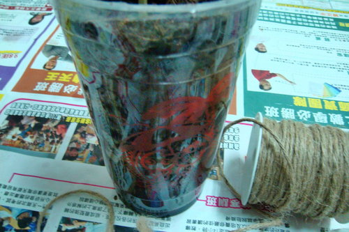 «ö¦¹¦b·sµøµ¡ÂsÄý¹Ï¤ù