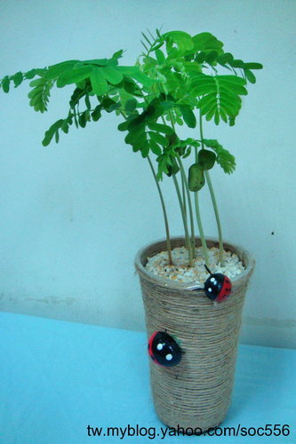 «ö¦¹¦b·sµøµ¡ÂsÄý¹Ï¤ù