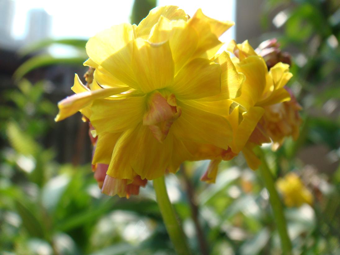 按此在新視窗瀏覽圖片