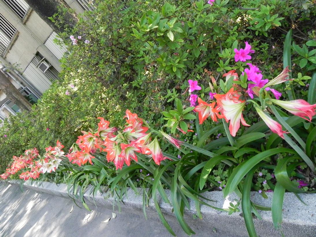 按此在新視窗瀏覽圖片