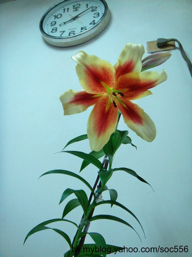 按此在新視窗瀏覽圖片