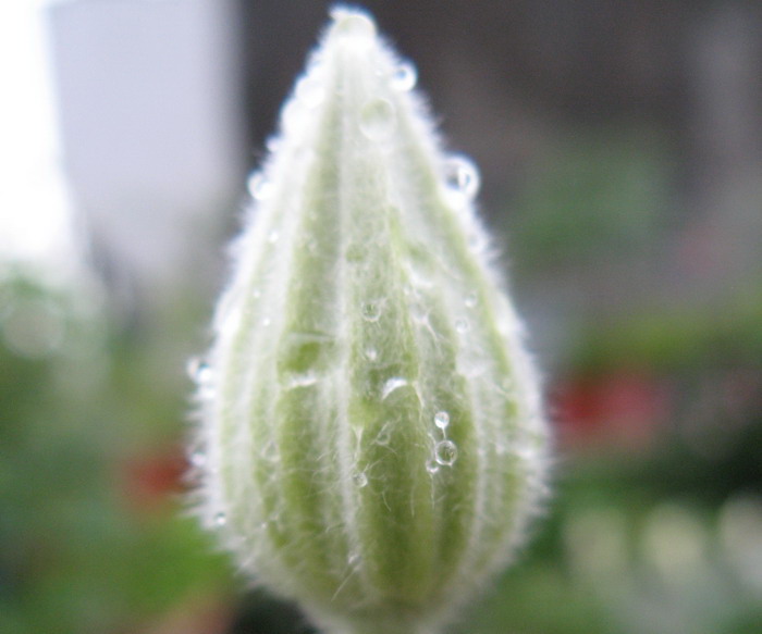 «ö¦¹¦b·sµøµ¡ÂsÄý¹Ï¤ù