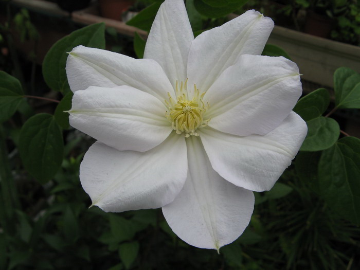 «ö¦¹¦b·sµøµ¡ÂsÄý¹Ï¤ù