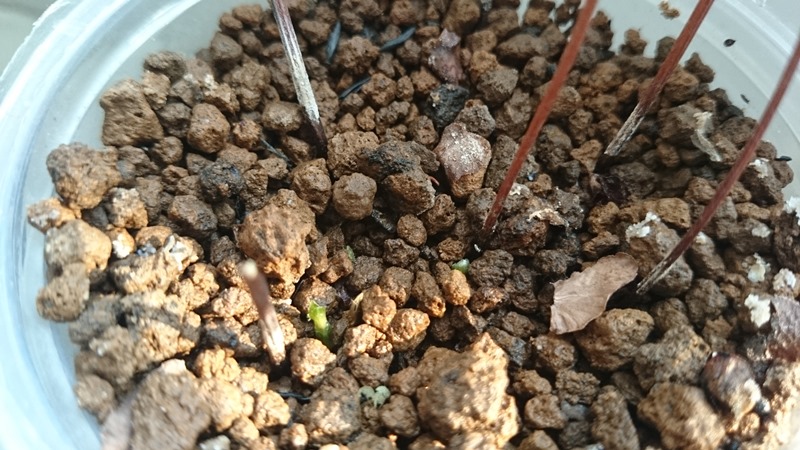 «ö¦¹¦b·sµøµ¡ÂsÄý¹Ï¤ù