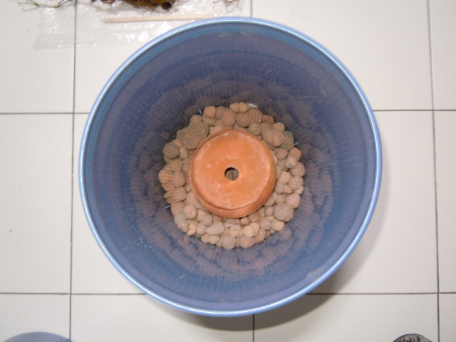 «ö¦¹¦b·sµøµ¡ÂsÄý¹Ï¤ù