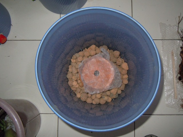 «ö¦¹¦b·sµøµ¡ÂsÄý¹Ï¤ù