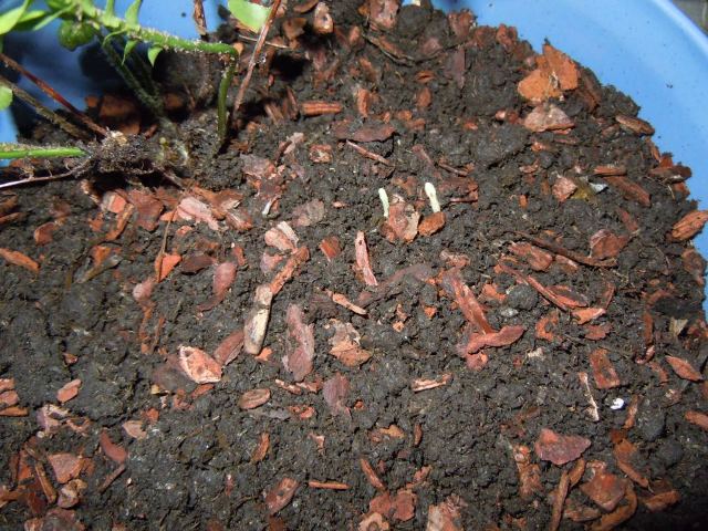 «ö¦¹¦b·sµøµ¡ÂsÄý¹Ï¤ù