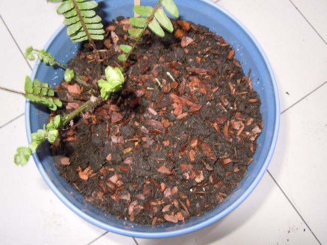 «ö¦¹¦b·sµøµ¡ÂsÄý¹Ï¤ù