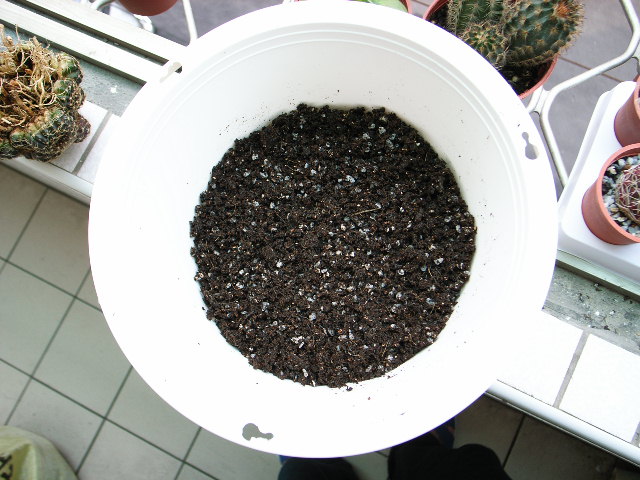 «ö¦¹¦b·sµøµ¡ÂsÄý¹Ï¤ù