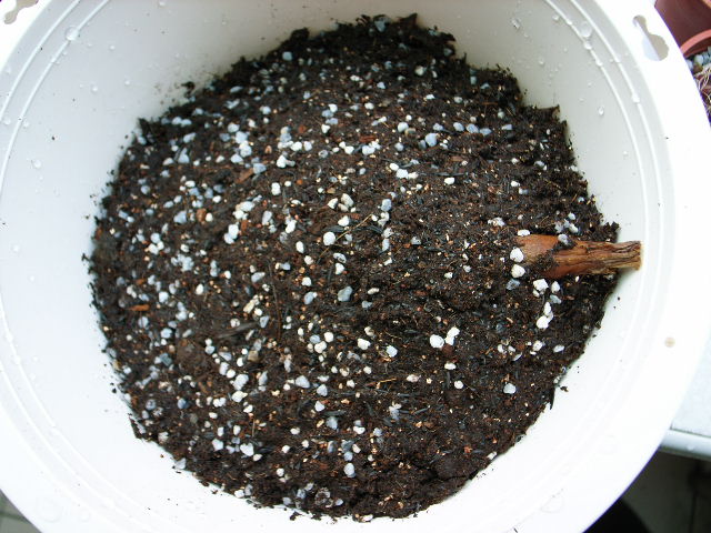 «ö¦¹¦b·sµøµ¡ÂsÄý¹Ï¤ù