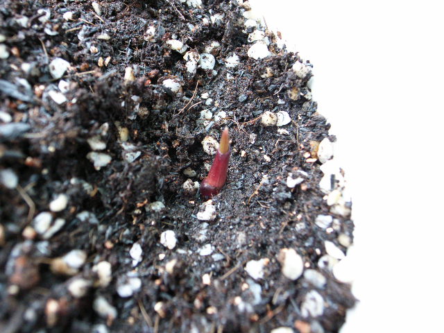 «ö¦¹¦b·sµøµ¡ÂsÄý¹Ï¤ù