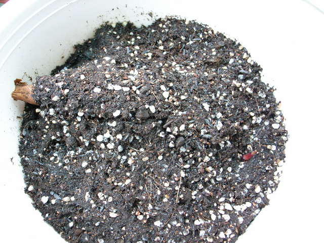 «ö¦¹¦b·sµøµ¡ÂsÄý¹Ï¤ù