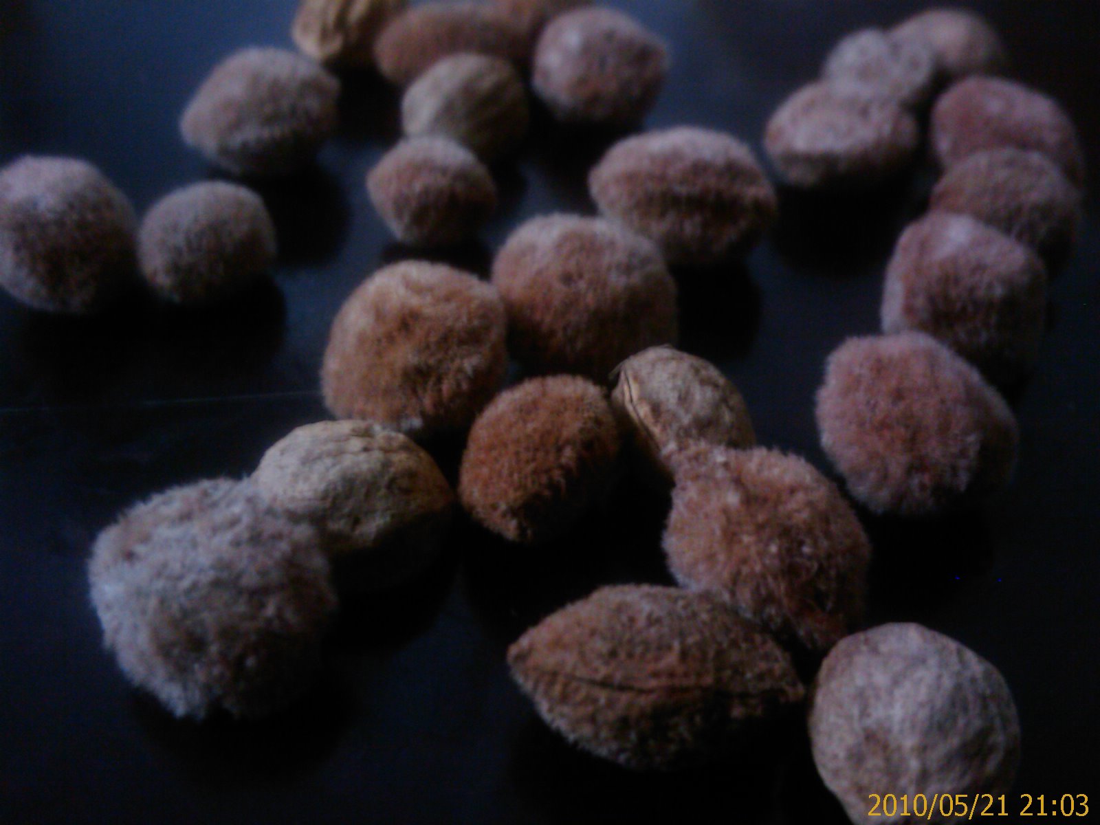 «ö¦¹¦b·sµøµ¡ÂsÄý¹Ï¤ù