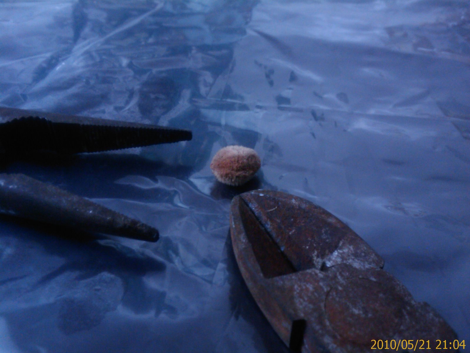 «ö¦¹¦b·sµøµ¡ÂsÄý¹Ï¤ù