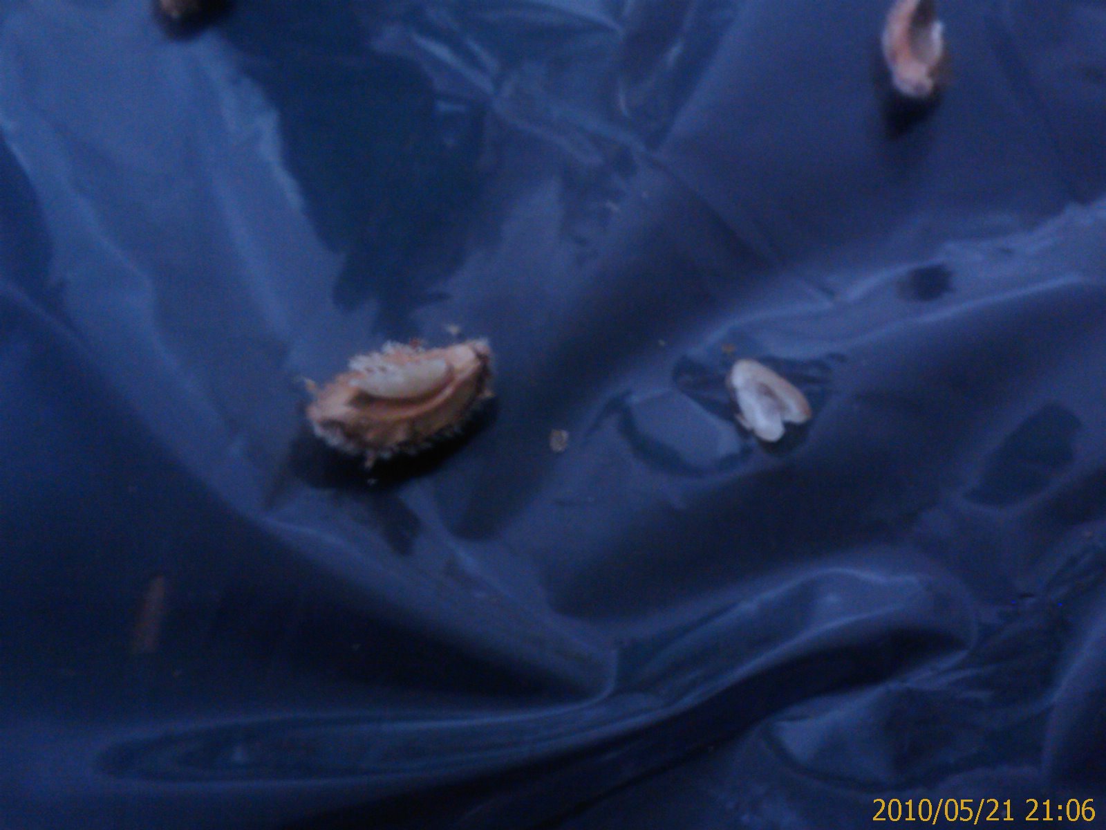 «ö¦¹¦b·sµøµ¡ÂsÄý¹Ï¤ù