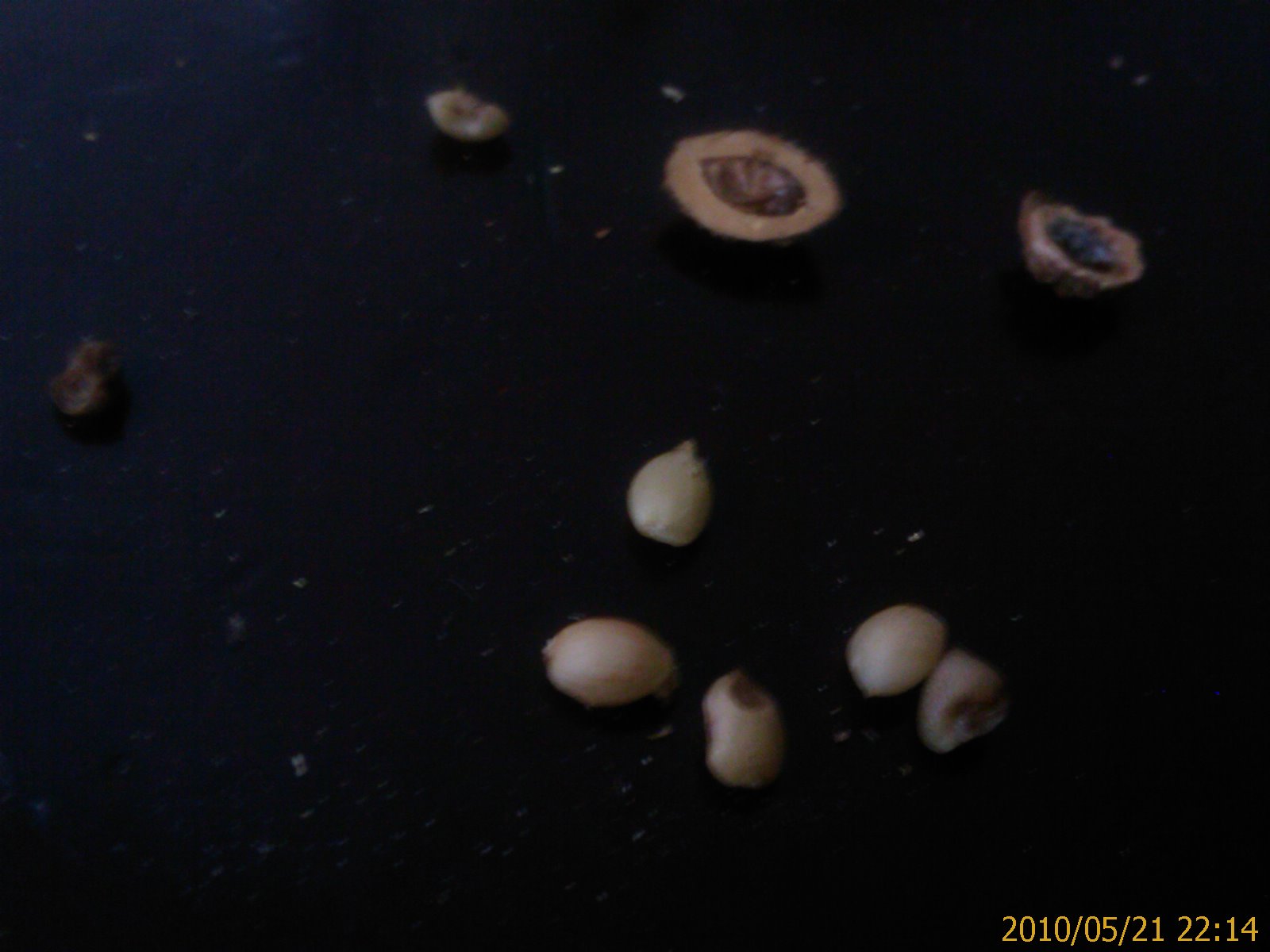 «ö¦¹¦b·sµøµ¡ÂsÄý¹Ï¤ù