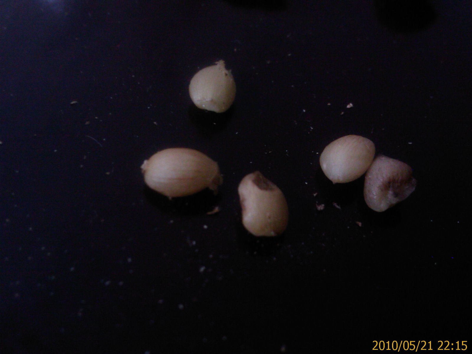 «ö¦¹¦b·sµøµ¡ÂsÄý¹Ï¤ù