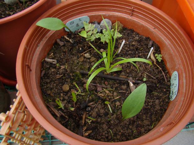 按此在新視窗瀏覽圖片