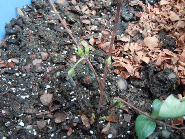 «ö¦¹¦b·sµøµ¡ÂsÄý¹Ï¤ù