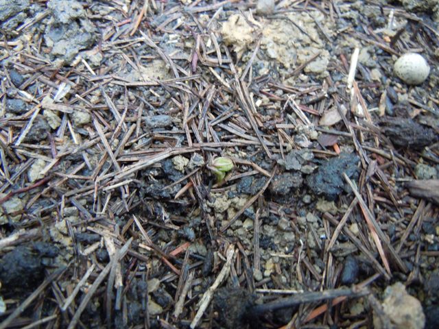 «ö¦¹¦b·sµøµ¡ÂsÄý¹Ï¤ù