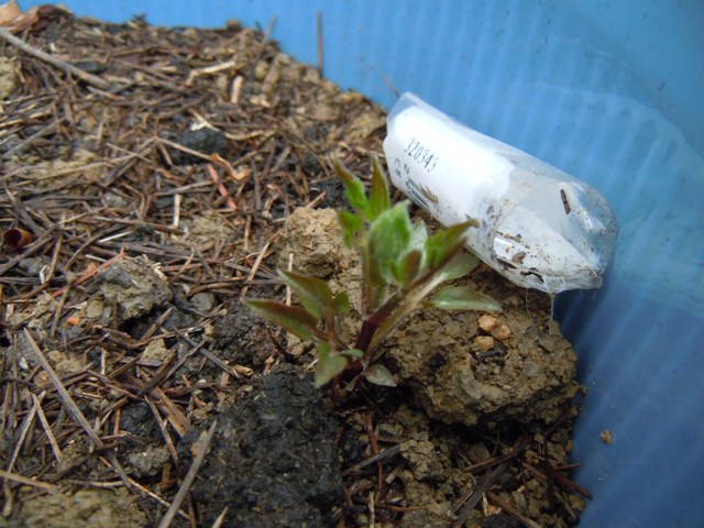 «ö¦¹¦b·sµøµ¡ÂsÄý¹Ï¤ù