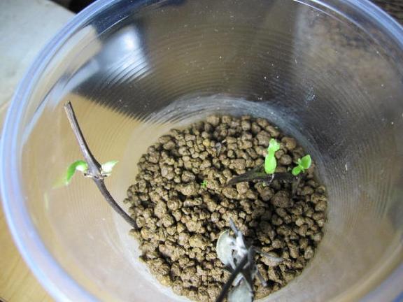 «ö¦¹¦b·sµøµ¡ÂsÄý¹Ï¤ù