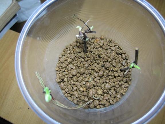 «ö¦¹¦b·sµøµ¡ÂsÄý¹Ï¤ù