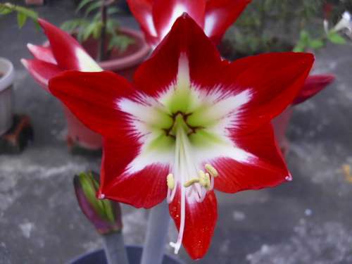 按此在新視窗瀏覽圖片