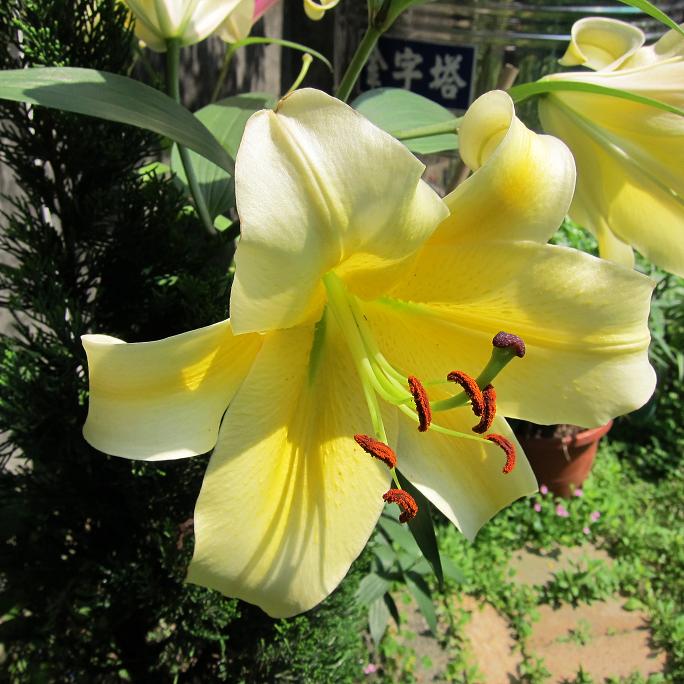 按此在新視窗瀏覽圖片