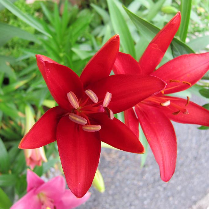 按此在新視窗瀏覽圖片