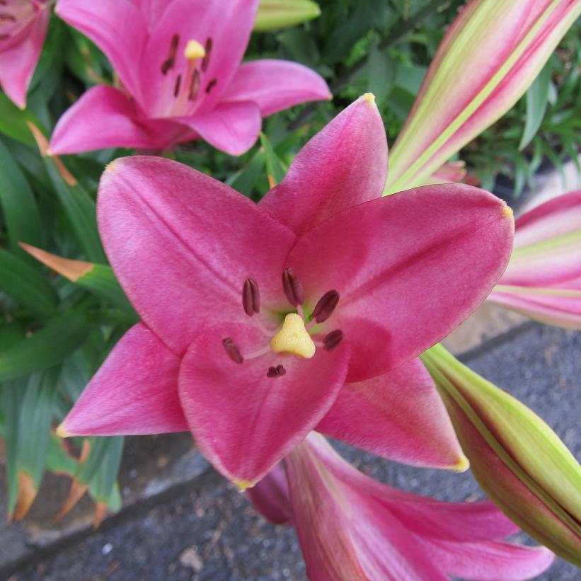 按此在新視窗瀏覽圖片