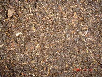 «ö¦¹¦b·sµøµ¡ÂsÄý¹Ï¤ù