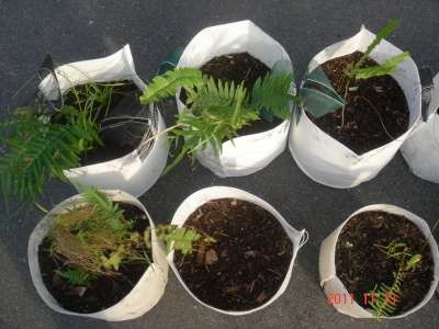 «ö¦¹¦b·sµøµ¡ÂsÄý¹Ï¤ù