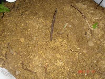 «ö¦¹¦b·sµøµ¡ÂsÄý¹Ï¤ù