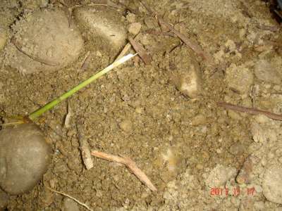 «ö¦¹¦b·sµøµ¡ÂsÄý¹Ï¤ù