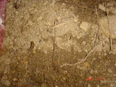 «ö¦¹¦b·sµøµ¡ÂsÄý¹Ï¤ù