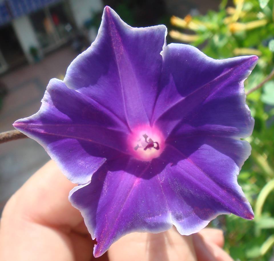 按此在新視窗瀏覽圖片