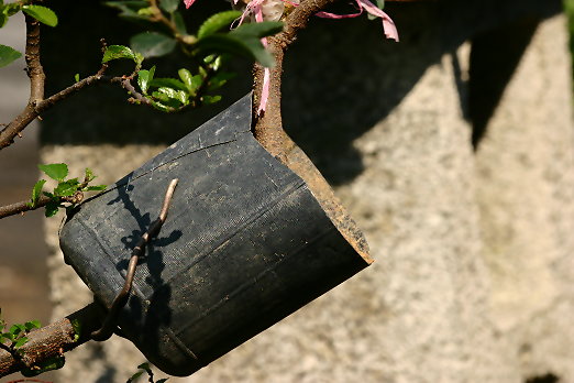 按此在新視窗瀏覽圖片