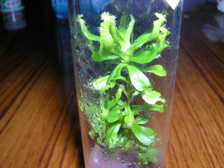 «ö¦¹¦b·sµøµ¡ÂsÄý¹Ï¤ù