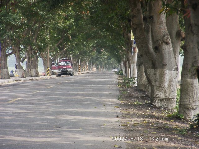 按此在新視窗瀏覽圖片