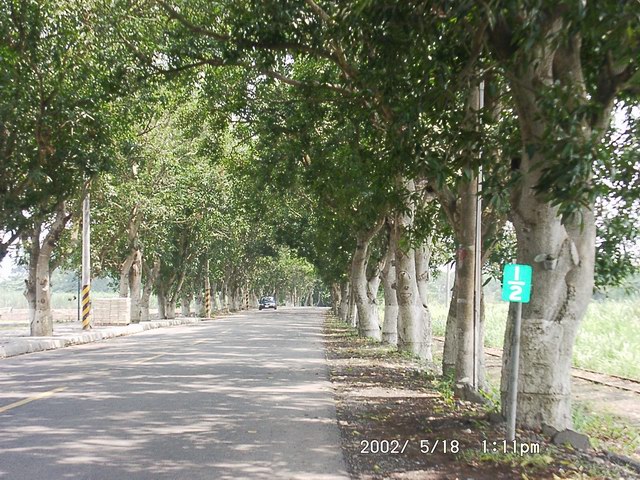 按此在新視窗瀏覽圖片