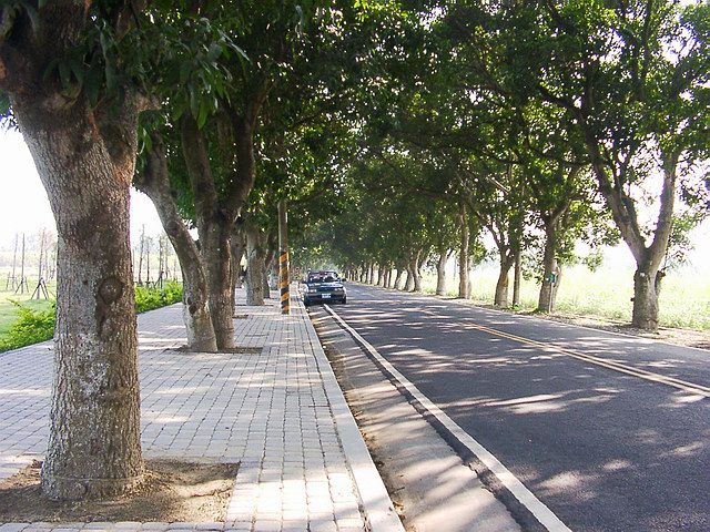 按此在新視窗瀏覽圖片